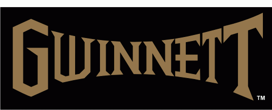 gwinnett gladiators 2003-pres wordmark logo v2 iron on transfers for clothing